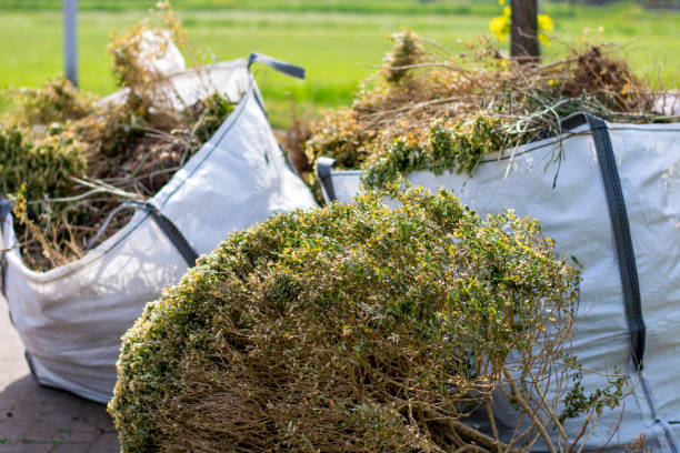 Best Household Junk Removal  in Dolgeville, NY
